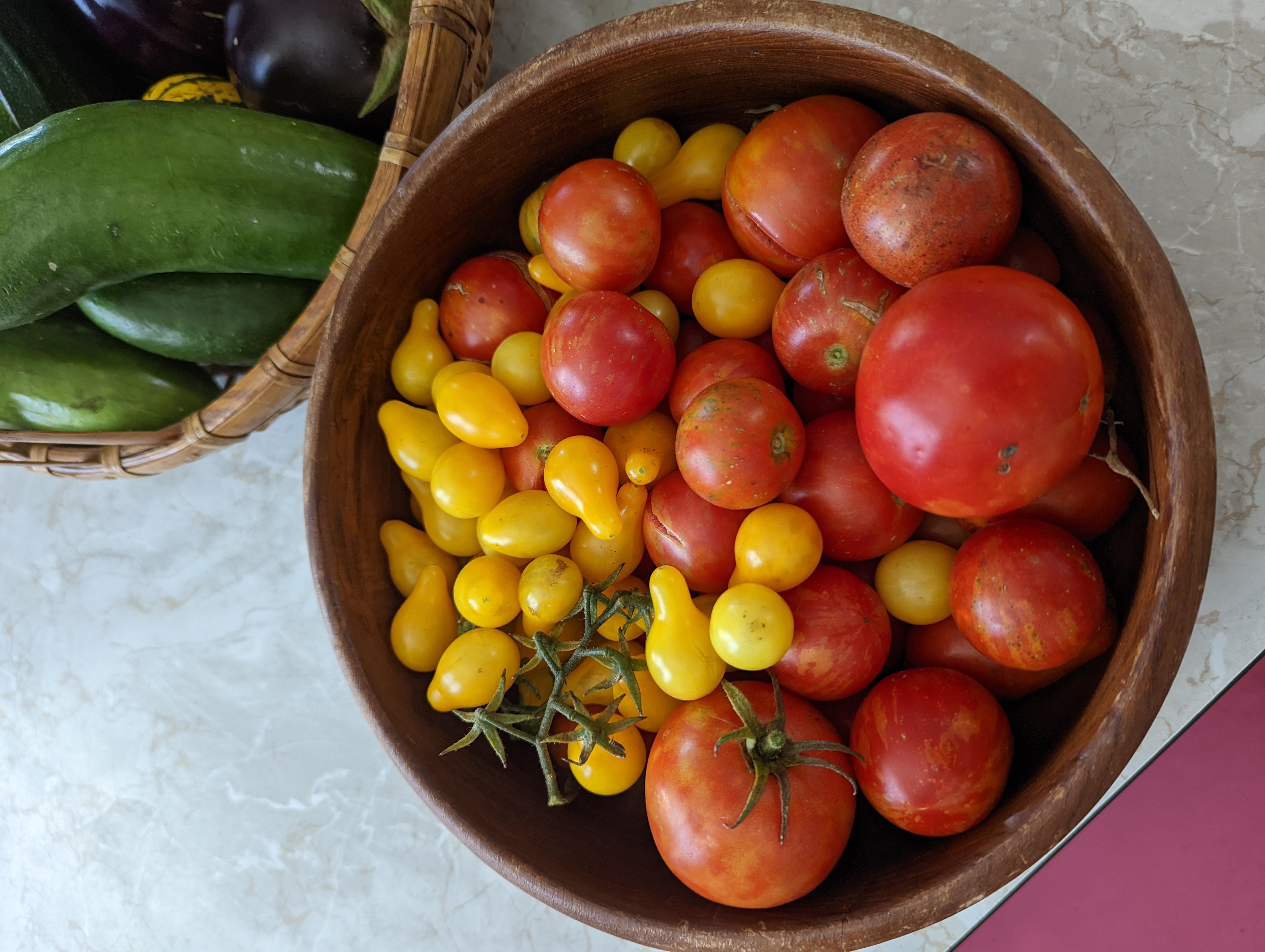 The Ultimate Guide to Growing Organic Tomatoes: From Seed to Harvest in 2024